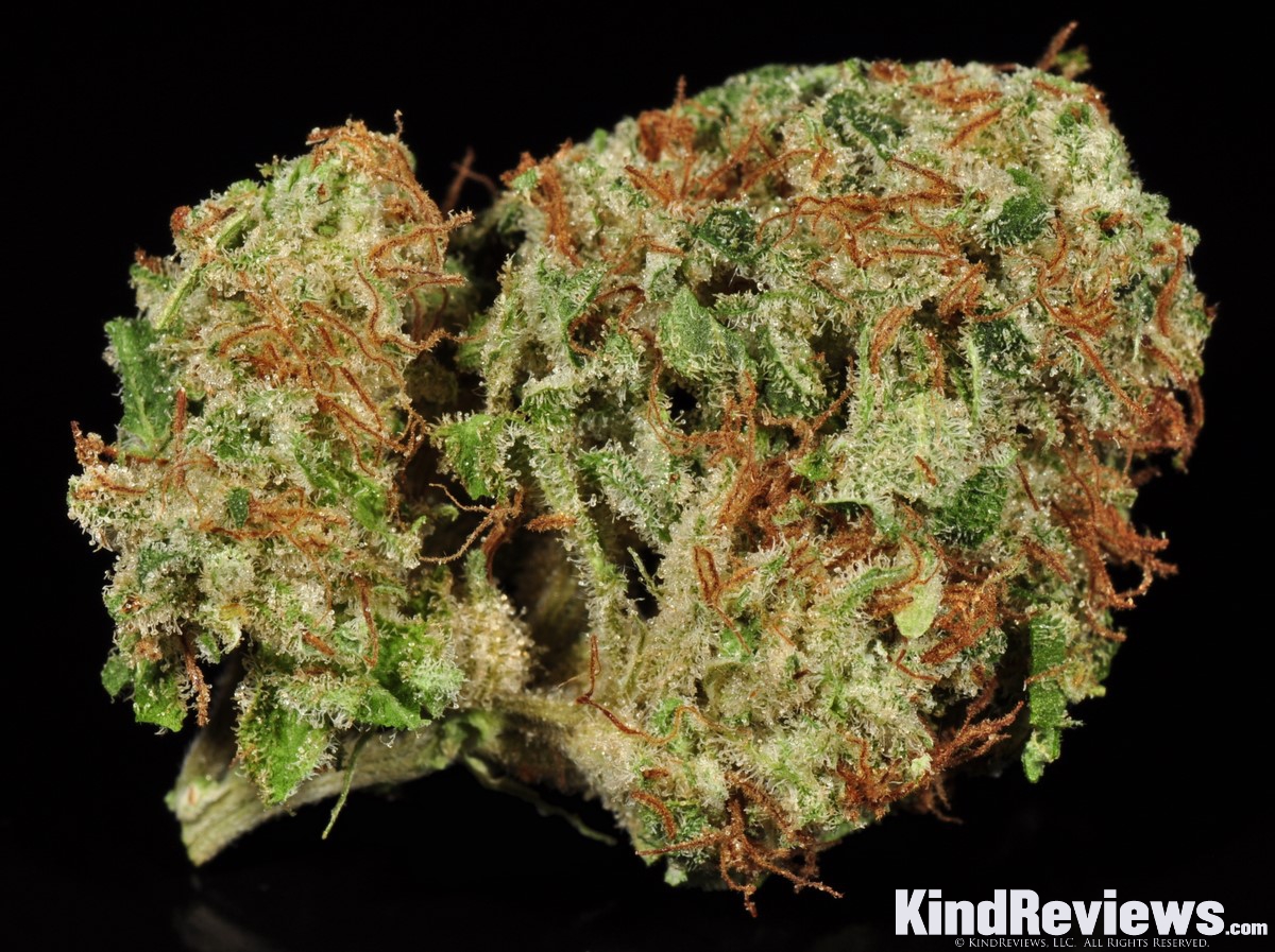 Diesel Berry Marijuana Strain Library