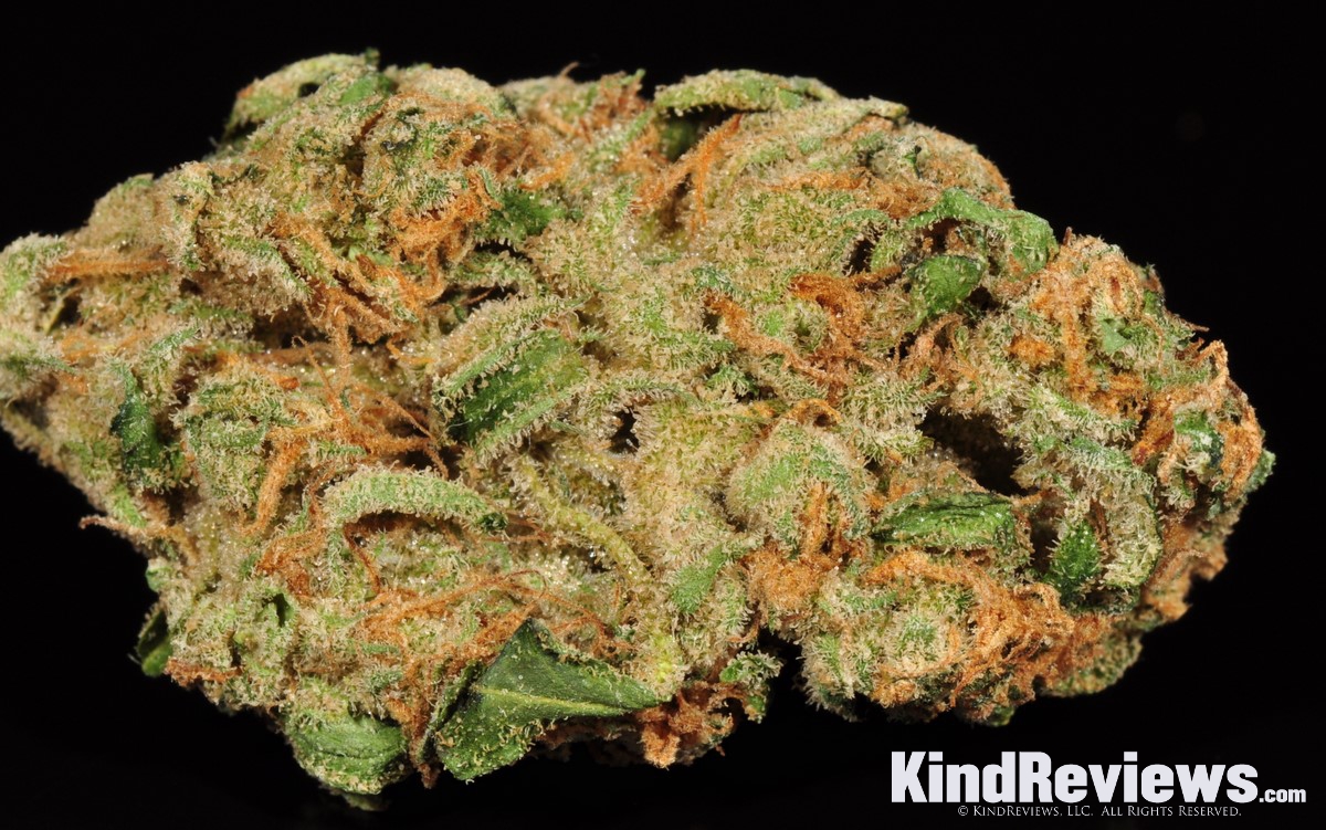 Papaya Marijuana Strain Library