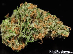 Trainwreck | Marijuana Strain Library | PotGuide.com