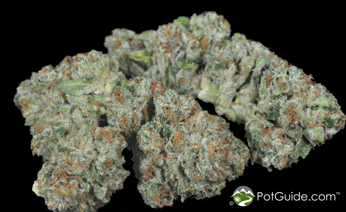 Kandy Kush Marijuana Strain Library