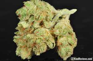 Gorilla Glue #4 | Marijuana Strain Library | PotGuide.com