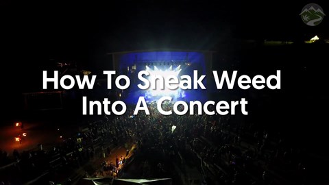 How To Sneak Weed Into A Concert