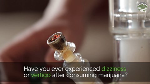 Why Does Marijuana Make Me Dizzy?