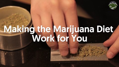 Making the Marijuana Diet Work for You