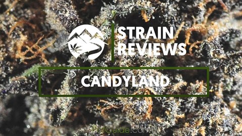 Strain Profile: Candyland