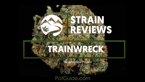 Strain Profile: Trainwreck