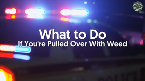 What to Do if You’re Pulled Over With Weed