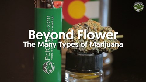 Beyond Flower - The Many Types of Marijuana