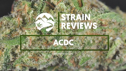 Strain Profiles: ACDC
