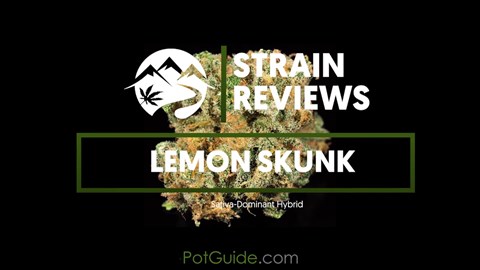 Strain Profiles: Lemon Skunk